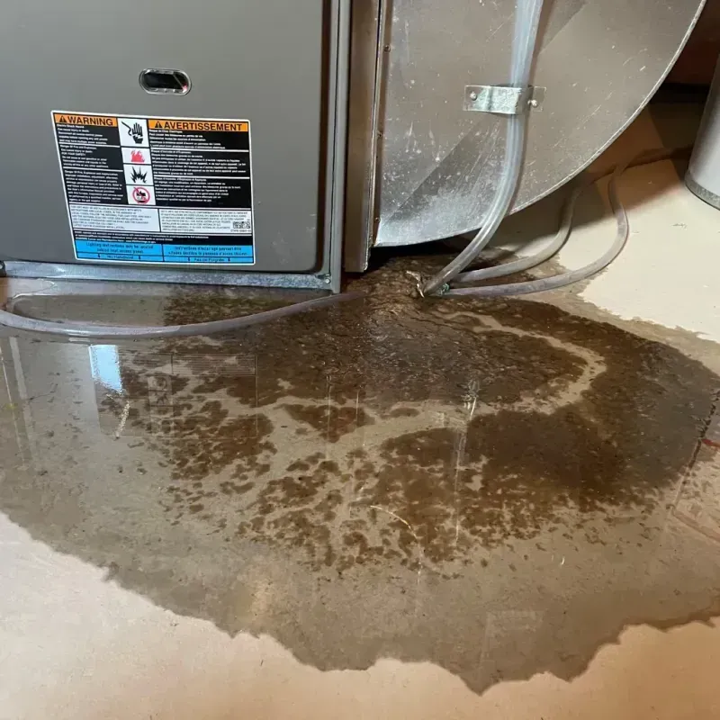 Appliance Leak Cleanup in Rapid City, MI